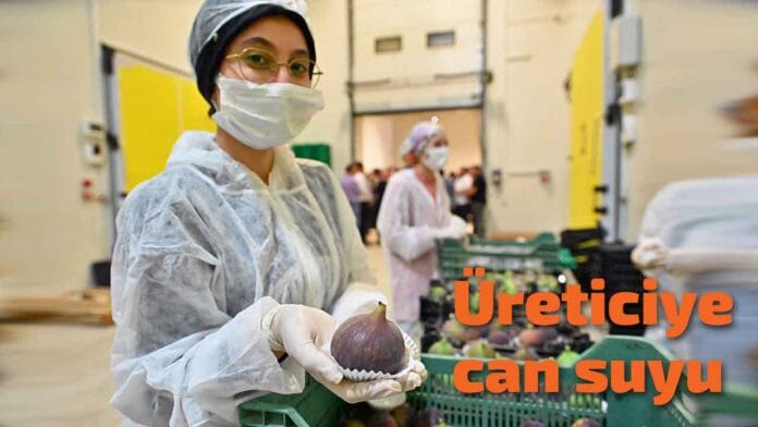 bursa-uratici-can-suyu