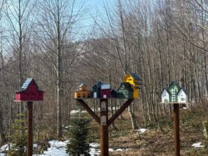 Kocaeli’de Bayram Tatilinde Ormanya ve Kuzuyayla Doğaseverleri Bekliyor