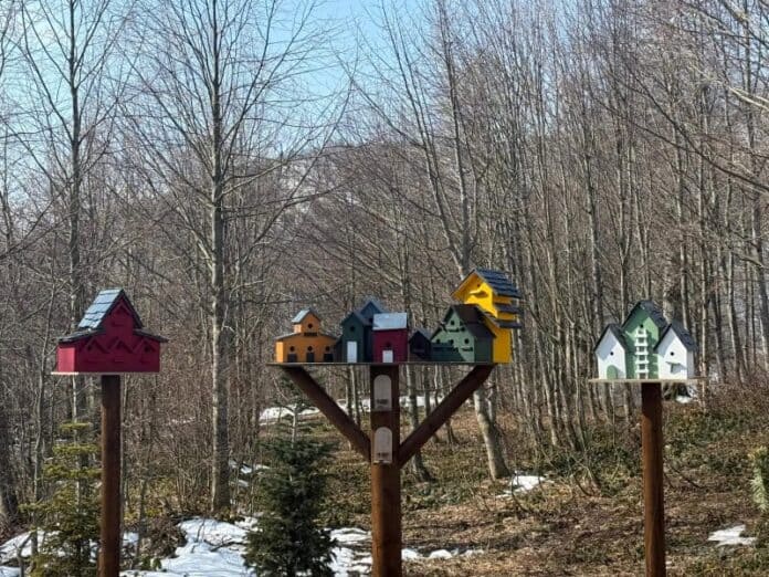 Kocaeli’de Bayram Tatilinde Ormanya ve Kuzuyayla Doğaseverleri Bekliyor