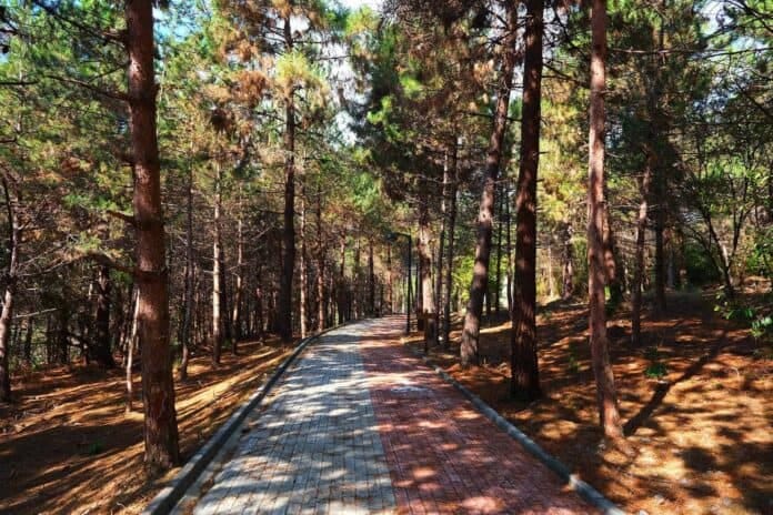 Sakarya’da Bahar 5 Nisan’da Huzur Koridoru’ndaki 23 Nisan Halk Koşusu ile Karşılanacak